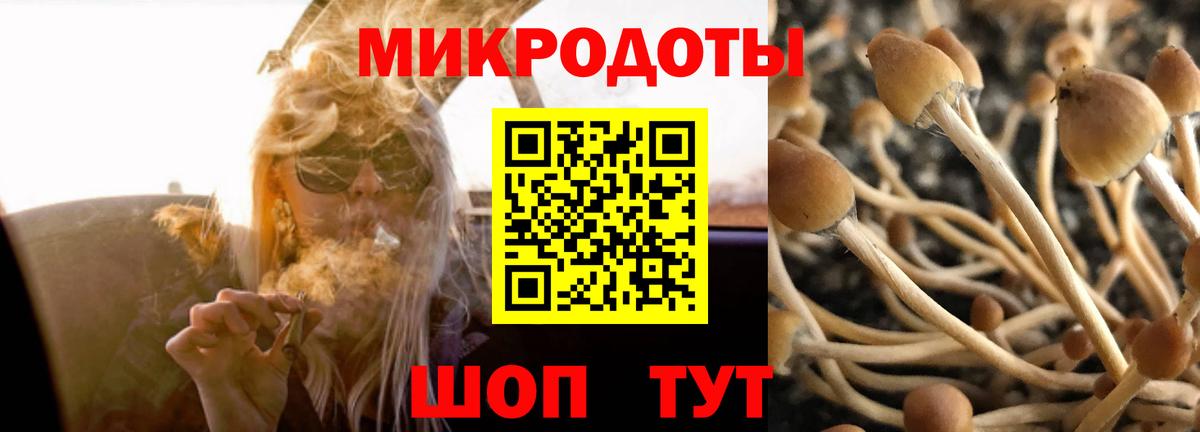 Псилоцибиновые грибы ЛСД  Вход с VPN  Галлюциногенные грибы мицелий  Кувандык 